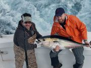 Oregon Inlet Fishing Center, A Bluefin Birthday