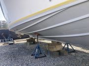 Wild Card Sportfishing Charters, What a pile of work!