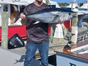 Oregon Inlet Fishing Center, Bluefin and Yellowfin