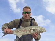 Tradewinds Tackle Shop, Ocracoke Surfside Action