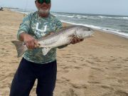 Fishing Unlimited Outer Banks Boat Rentals, Mullet, Spot, and Croakers