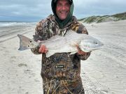 Tradewinds Tackle Shop, Red Drum Action