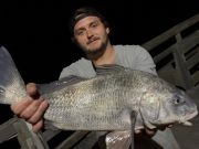 Fishing Unlimited Outer Banks Boat Rentals, Fishing has picked up!
