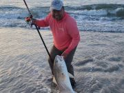 Tradewinds Tackle Shop, Red Drum in Ocracoke