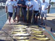 Tuna Duck Sportfishing, Mahi