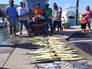 Tuna Duck Sportfishing, Mahi and Spanish Mackerel