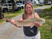 Tradewinds Tackle Shop, A Beautiful Slot Red Drum
