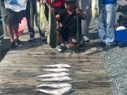 True Grit Sportfishing, Nice Work!