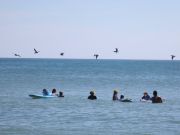 Jennette's Pier, Bluefish and Spanish Mackerel
