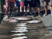 True Grit Sportfishing, Back at it Again!