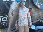 Tradewinds Tackle Shop, Gigantic Gag Grouper