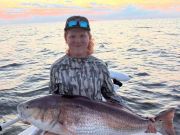 Tradewinds Tackle Shop, Beautiful 44” Red Drum