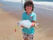Tradewinds Tackle Shop, 15” Pompano