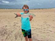 Red Drum Tackle Shop, Success!!