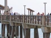 Jennette's Pier, More Bluefish