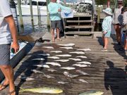 Pirate's Cove Marina, Flags Up Mahi Down