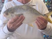 Red Drum Tackle Shop, 2lb 3oz pompano