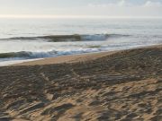 Outer Banks Boarding Company, OBBC Sat. May 4th Morning Surf Report