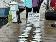 Wild Card Sportfishing Charters, Ladies on the Water!