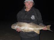 Red Drum Tackle Shop, More Big Red Drum!