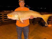 Jennette's Pier, Red Drum Biting Again