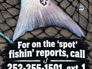 Jennette's Pier, On the 'Spot' Reports