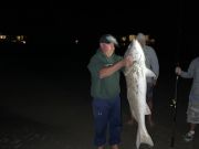 OBX Bait & Tackle Corolla Outer Banks, Corolla Fish Report