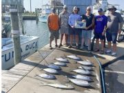 Fishing Reports, Tuna Duck Sportfishing