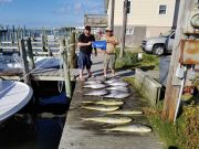 TW’s Bait & Tackle, Daily Fishing Report