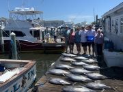 Pirate's Cove Marina, TUNAverse