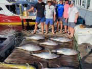 Pirate's Cove Marina, Gotta Hook Em' To Cook Em'