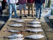 Bite Me Sportfishing Charters, Tuna!!!!!