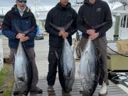 Wanchese Marina, Beautiful Catches