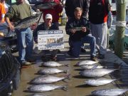 Bite Me Sportfishing Charters, Good Fishing Upcoming in April and May