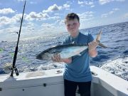 Wanchese Marina, Yellowfin, Black Fins, Kings, and Drum