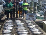 Bite Me Sportfishing Charters, Box full!  Tunas, Dolphin