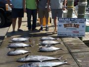 Bite Me Sportfishing Charters, Mixed Grill!