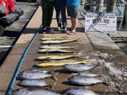 Bite Me Sportfishing Charters, Dolphin and Tuna