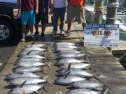 Bite Me Sportfishing Charters, Tuna Tuna Tuna!