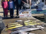 Bite Me Sportfishing Charters, Easter Blue Marlin, and tunas, wahoos, and dolphins!