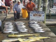 Bite Me Sportfishing Charters, Tunas!