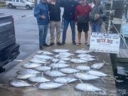 Bite Me Sportfishing Charters, Tunas for Mountaineers