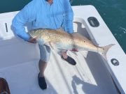 Bite Me Sportfishing Charters, Looking for Tuna