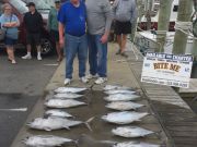 Bite Me Sportfishing Charters, Spring Time Tuners for the Bobs