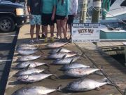 Bite Me Sportfishing Charters, Another great day with blackfin tuna and dolphin