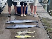 Bite Me Sportfishing Charters, Wahoos and dolphins