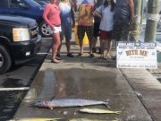 Bite Me Sportfishing Charters, Make Up Trip