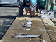 Bite Me Sportfishing Charters, Wahoos & Tunas