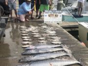 Bite Me Sportfishing Charters, Wahoos, dolphin and Triggers