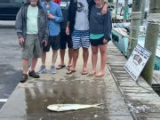 Bite Me Sportfishing Charters, Waiting out Debby